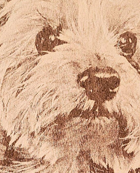 Dettaglio2